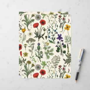 Colagem de flores silvestres