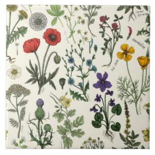 Colagem de flores silvestres