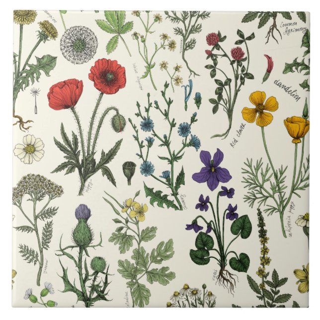 Colagem de flores silvestres (Frente)