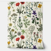 Colagem de flores silvestres