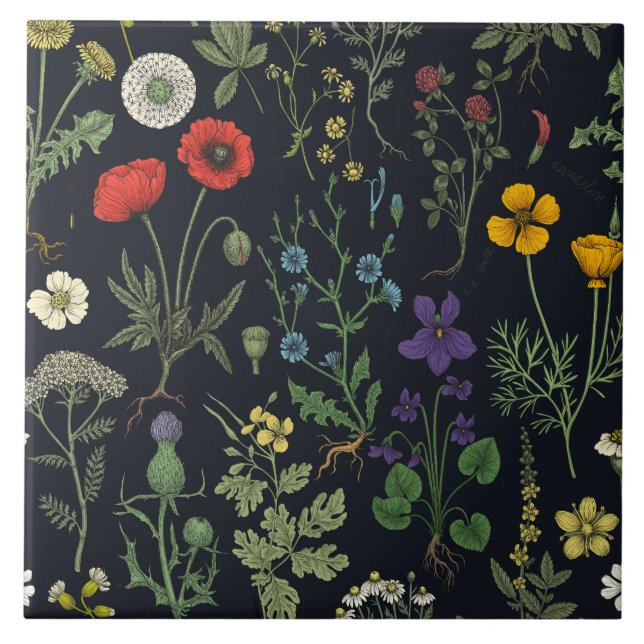 Colagem de flores silvestres (Frente)