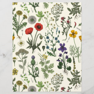 Colagem de flores silvestres