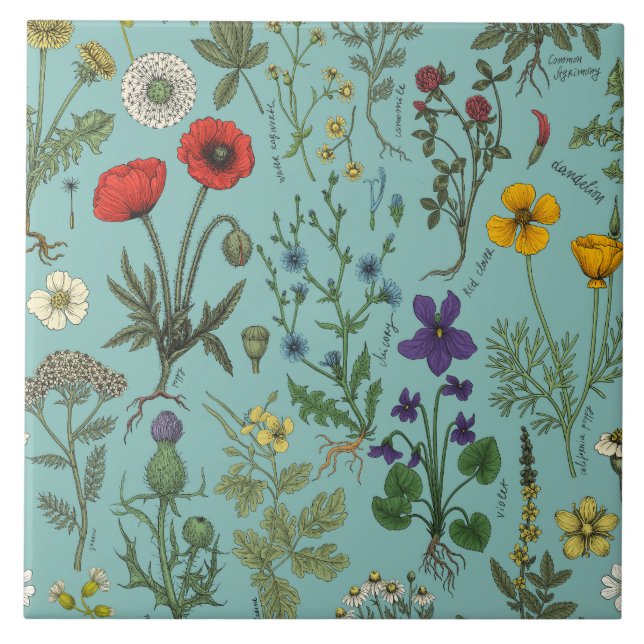 Colagem de flores silvestres em azul (Frente)