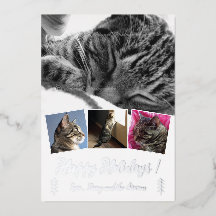 Colagem de Fotos de Gato Elegante em Folha de Prat