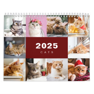 Colagem de Fotos de Gatos Calendário Moderno 2025