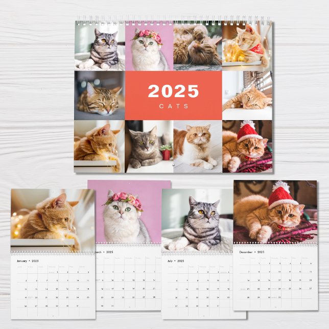 Colagem de Fotos de Gatos Calendário Moderno 2025 (Criador carregado)