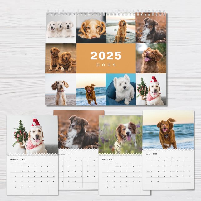 Colagem de Fotos em Cães Calendário Moderno 2025 (Criador carregado)