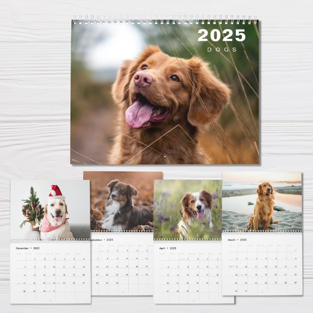 Colagem de Fotos em Cães Calendário Moderno 2025 (Criador carregado)