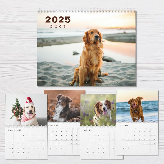 Colagem de Fotos em Cães Calendário Moderno 2025 (Criador carregado)