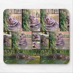 Colagem de Fotos Hippo, Mousepad