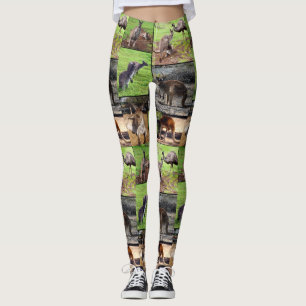 Colagem de Fotos Kangaroo, Leggings Damas