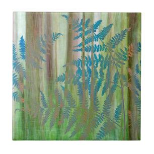 Colagem de samambaia e floresta Seabeck, WA