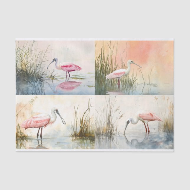 Colagem de Spoonbill 1 Papel de Decoupage (Frente )