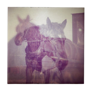 Colagem digital Amish equinos