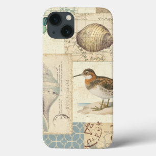 Colagem do Seashell