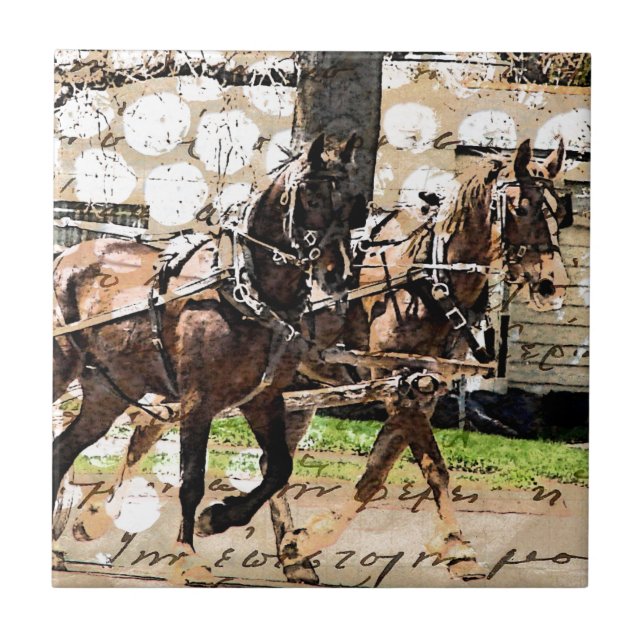 Colagem Mídia Mista de Dois Cavalos (Frente)