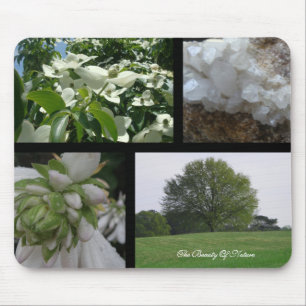 Colagem Mousepad da beleza das naturezas