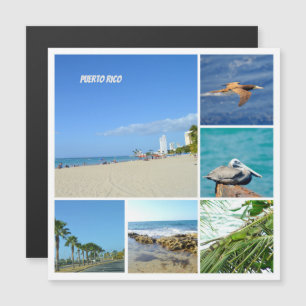 Colagem natural de San Juan, imã de Porto Rico