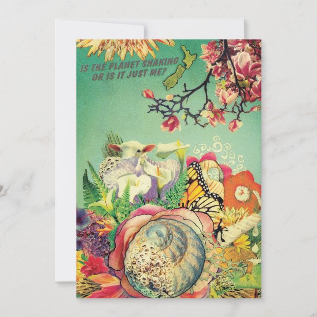 Colagem Nova Zelândia (Frente)