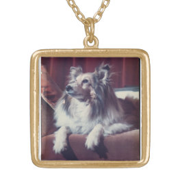 Colar Banhado A Ouro Pet Memorial Photo Necklace