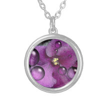 A violeta sonha a colar