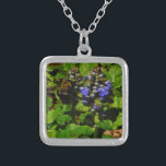 Colar Banhado A Prata Bumble e Bumble Bee<br><div class="desc">Flor de Abelhas Roxo Flor Flor e Abelhas Amarelas e Negras Foto de Abelhas Bumble Foto de Sandy Closs tirada no lago de Arrohead,  "abelha",  flor,  flores,  floral,  primavera,  cereja,  cereja,  jardim,  casamento,  casamentos, </div>