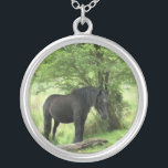 COLAR BANHADO A PRATA CAVALOS<br><div class="desc">Uma bela égua negra descansando à sombra de uma árvore.</div>