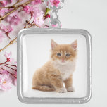 Colar Banhado A Prata Foto De Gatinho Laranja Bonito<br><div class="desc">Mostre seu amor por amigos peludos com este adorável colar personalizado com uma doce foto de gatinho laranja. Colocada em um tom brilhante de prata com uma corrente correspondente, esta peça encantadora faz um presente perfeito para amantes de gatos, mães de animais de estimação, ou qualquer pessoa que adora companheiros...</div>