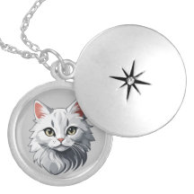 Gato Branco Charmoso