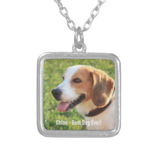 Colar Banhado A Prata Nome personalizado da foto do cão do lebreiro e do