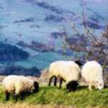 COLAR BANHADO A PRATA OVINO<br><div class="desc">Uma bela pintura digital de óleo de ovelha,  algumas das meninas fazendas que trabalham no duro. Gales UK.</div>