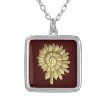 Seashell A01 da ilustração do vintage