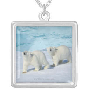 Colar Banhado A Prata Urso polar, dois copos no gelo de bloco, Ursus