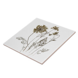 Colar da Rainha Anne num Azulejo cerâmico (A branc