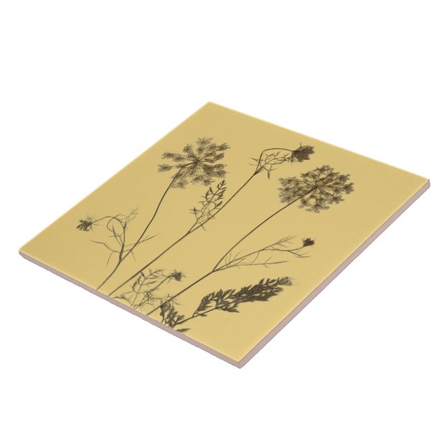 Colar da Rainha Anne num Azulejo cerâmico (Amarelo (Lateral)