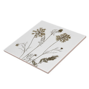 Colar da Rainha Anne num Azulejo cerâmico (branco