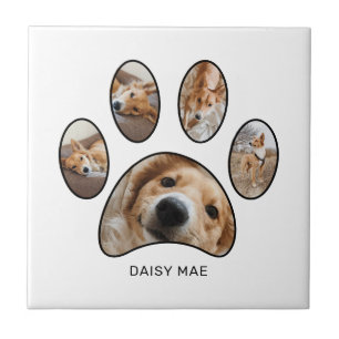 Colar de Fotos Personalizadas com Pegada de Pata p