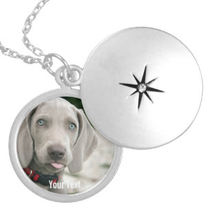 Colar Medalhão Foto personalizada do cão Weimaraner e nome do cão