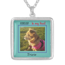 colar personalizável de animais de estimação RIP m