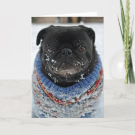 Cold Puggy no Cartão de Saudação de Aniversário da