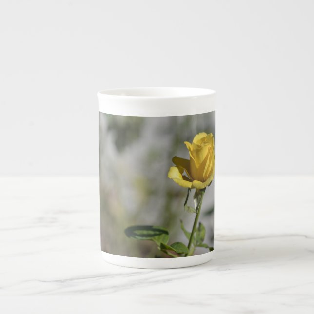 Coleção 2 da caneca da porcelana do jardim de (Frente)