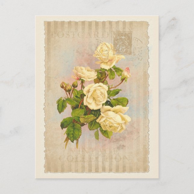 Coleção de Cartão Postal - Vol.2 - Cartão Postal (Frente)