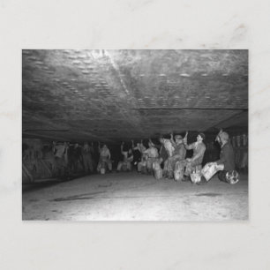 Coleção de Cartões Postais da Rainha Mary RMS