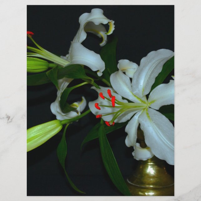 Coleção de Design e Flores irlandesas (Frente)