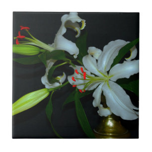 Coleção de Design e Flores irlandesas