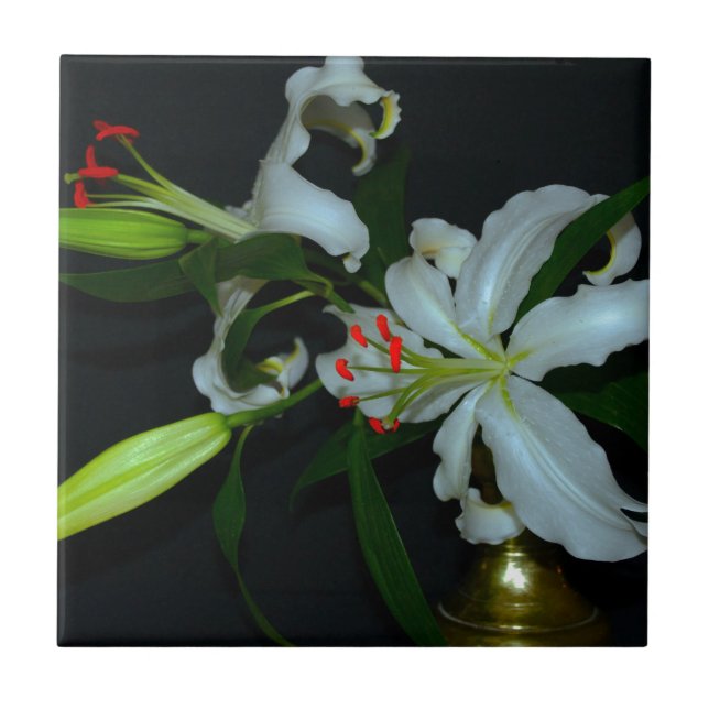 Coleção de Design e Flores irlandesas (Frente)