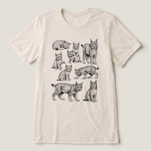 Coleção de Esboços de Gato Selvagem Bobcat Lynx Vi