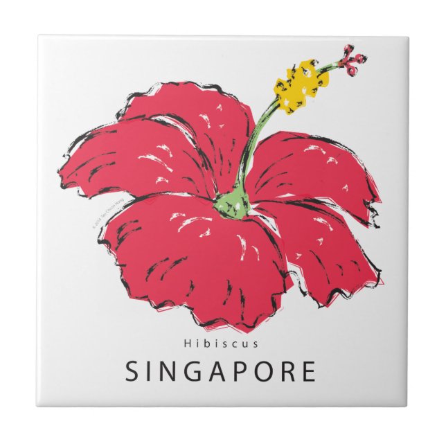 COLEÇÃO DE HIBISCUS SINGAPURA (Frente)