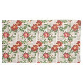 Coleção de Ilustrações do Patrimônio Rosa Vitorian