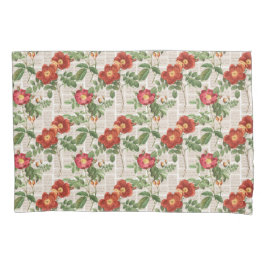 Coleção de Ilustrações do Patrimônio Rosa Vitorian